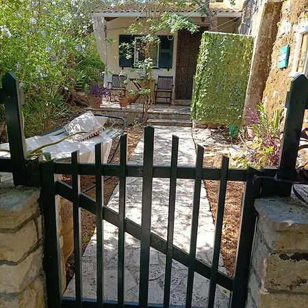 Daire Casa Natasa