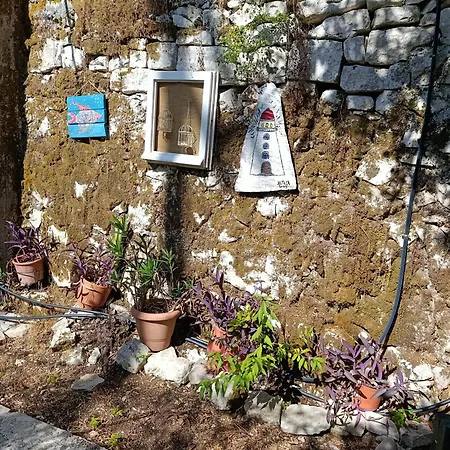 Daire Casa Natasa *